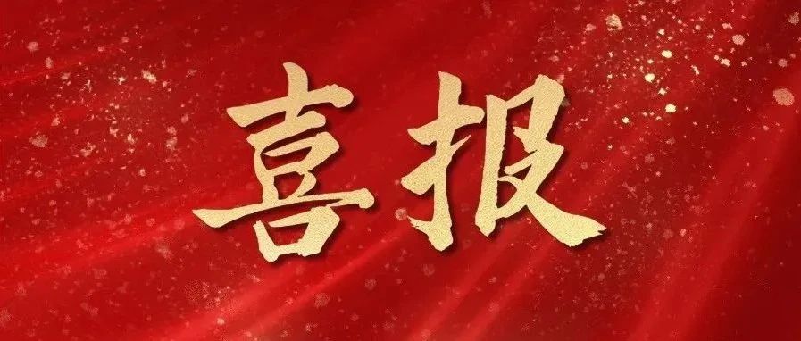 喜报！“信连心”志愿服务项目荣获2026年度枣庄市志愿服务项目大赛铜奖