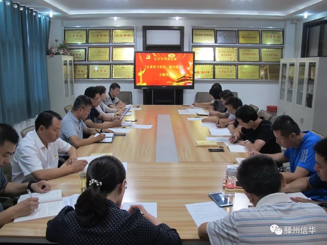 亿丰开发公司党支部开展 “认真学习党史、新中国史”主题党日活动