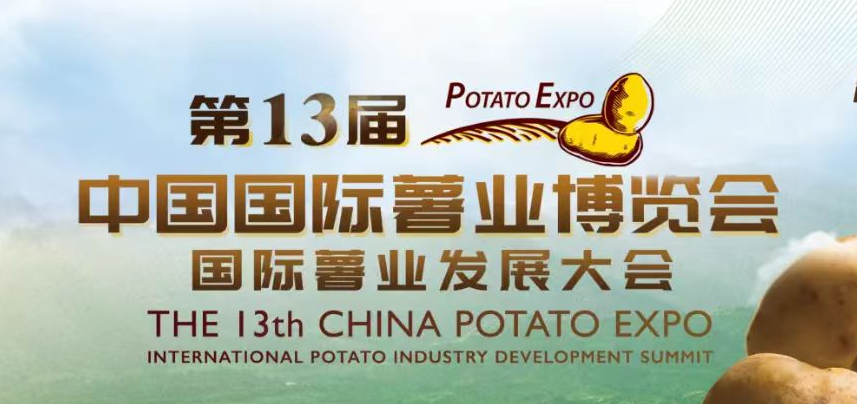 信华集团助力滕州打造薯业盛会